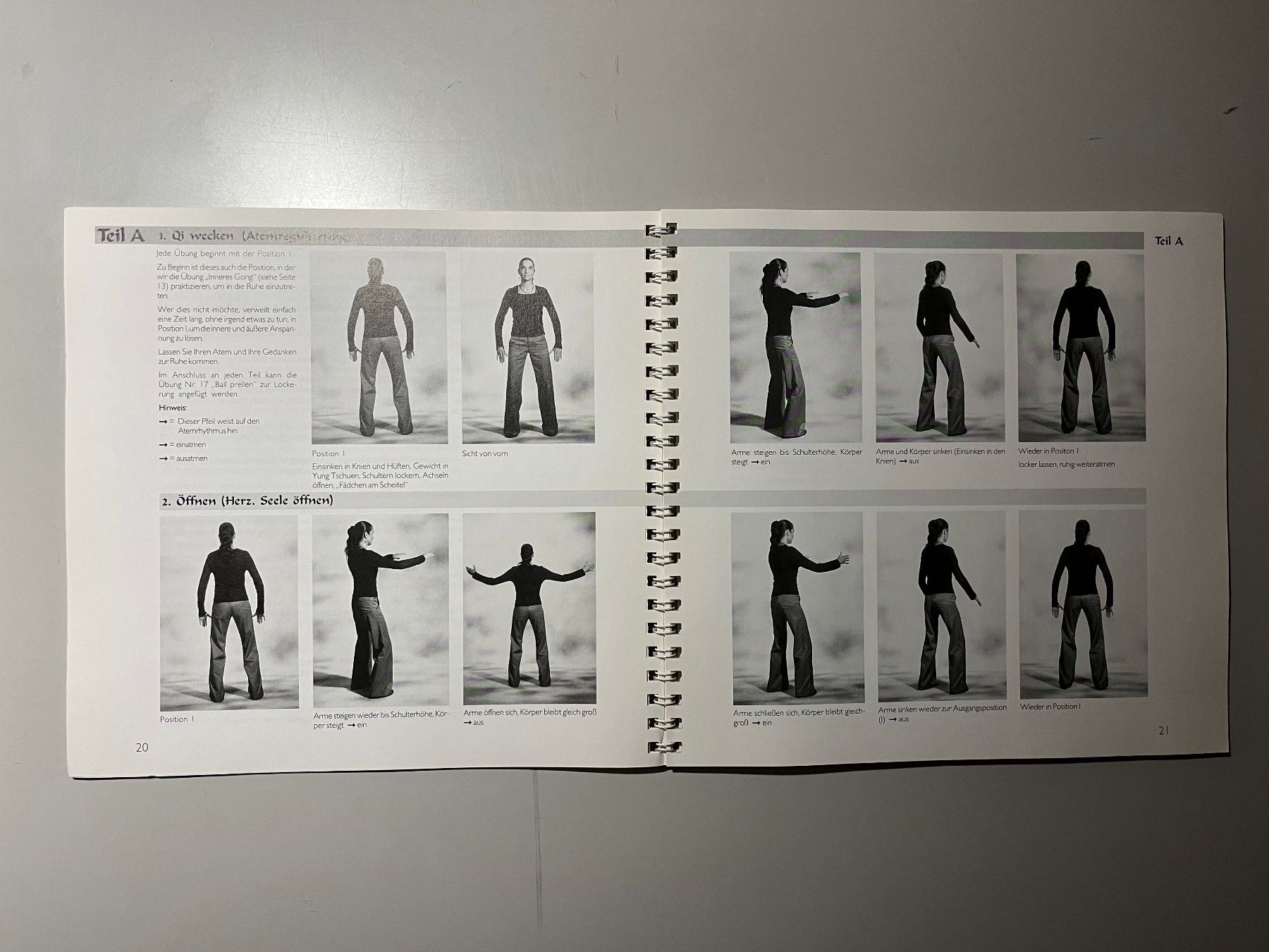 Libri: Marietta Eichler: Tai Chi Qi Gong – Usato da glattfelden venduto da kimiaxel 4