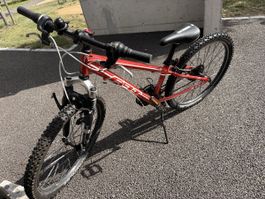 Velo 24 Zoll