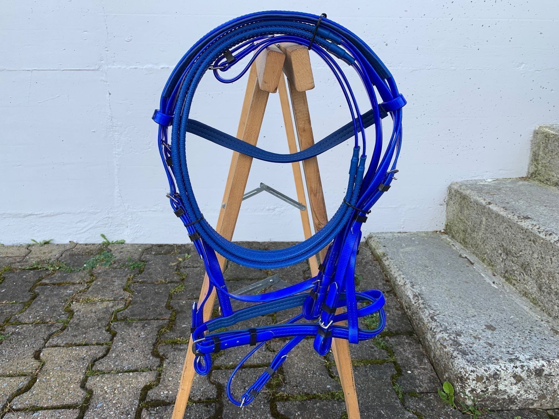 Selle & Accessori: schöner blauer Reitzaum – Usato da Feldbach venduto da Fea1 6
