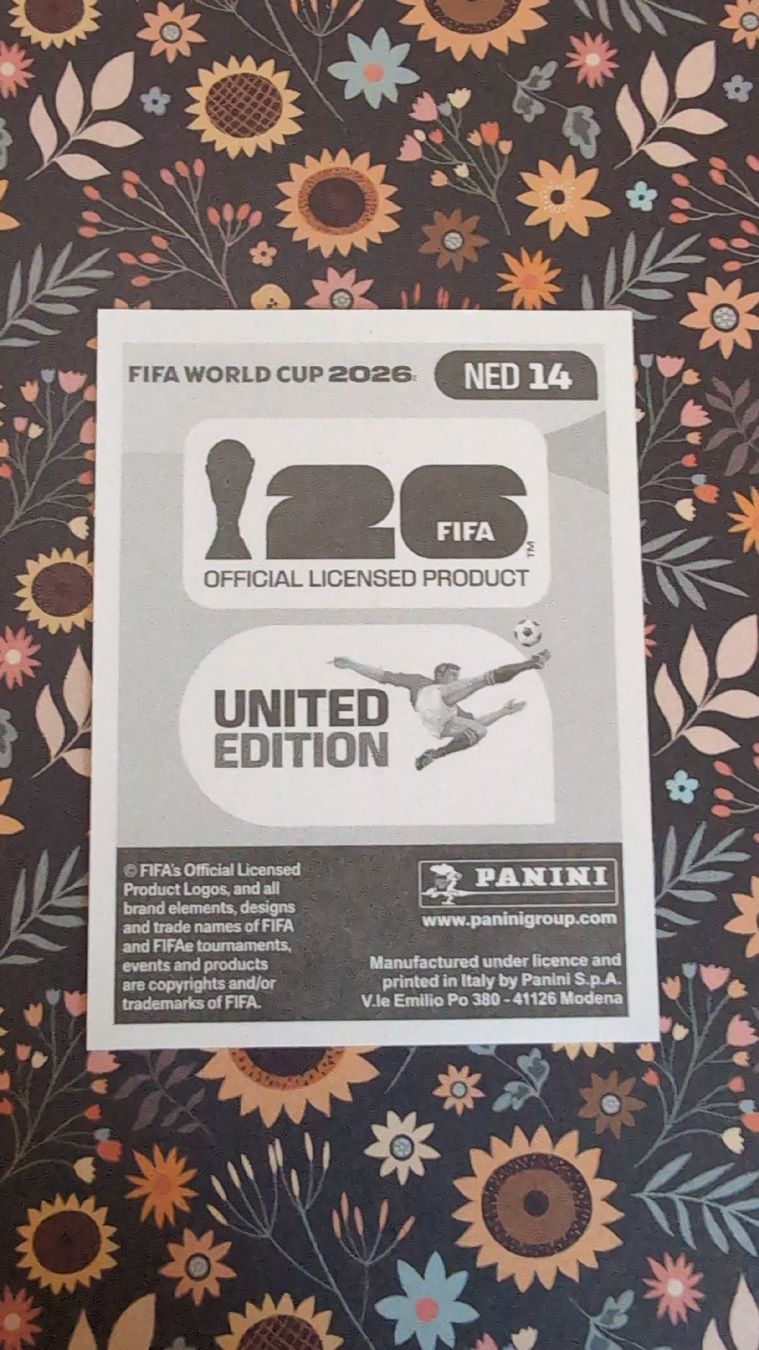 Panini Carte collezionabili: NED 14 - PANINI - FIFA WM 2026 – Nuovo (secondo la descrizione) da Bauma venduto da tobiaskl 1