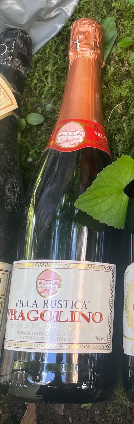 Vino: Fragolino Villa rustica – Nuovo (secondo la descrizione) da Minusio venduto da Pink222