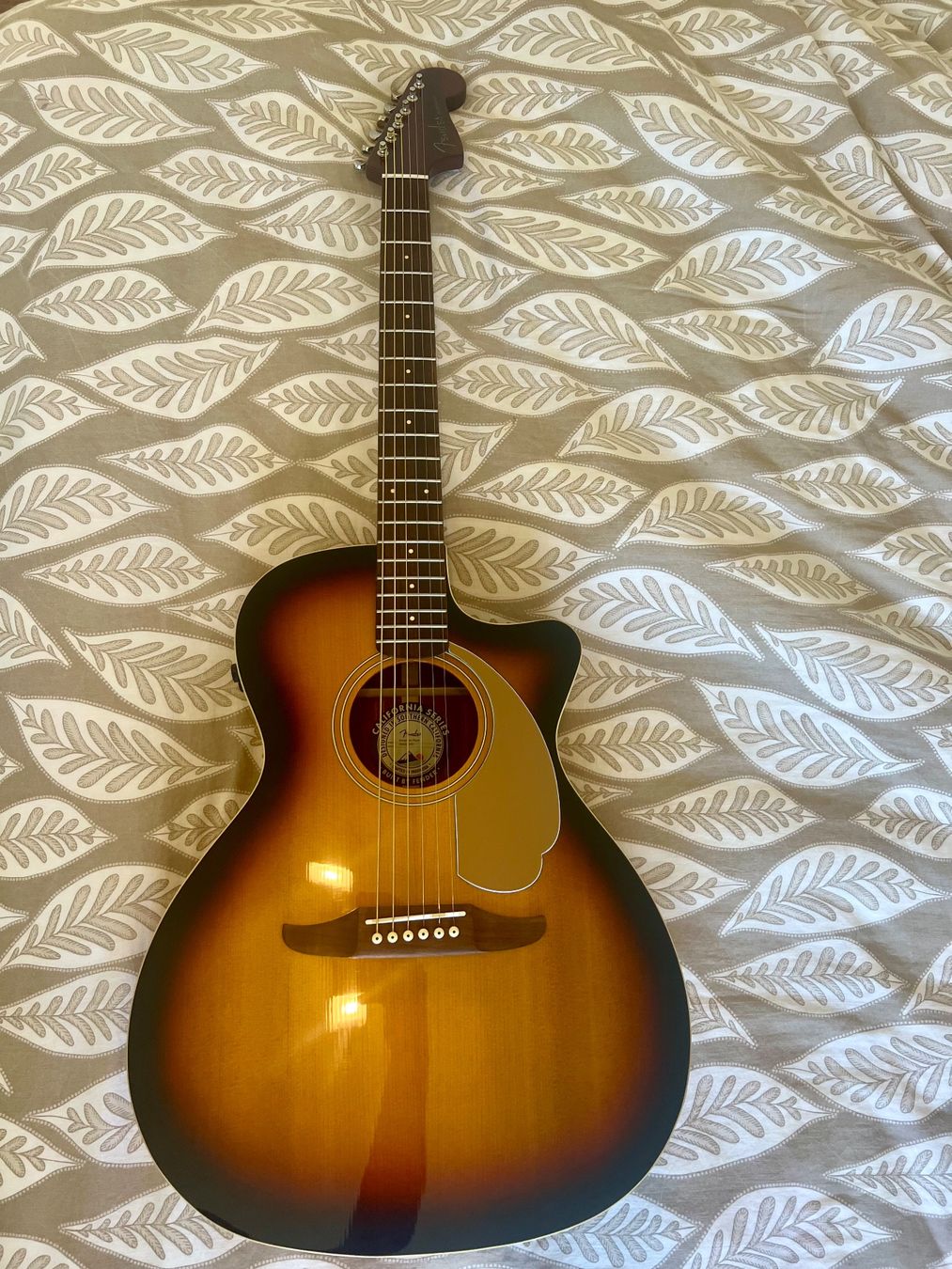 Fender Strumenti musicali: Fender Newporter player état neuf – Nuovo (secondo la descrizione) da Monthey venduto da Jiji_99