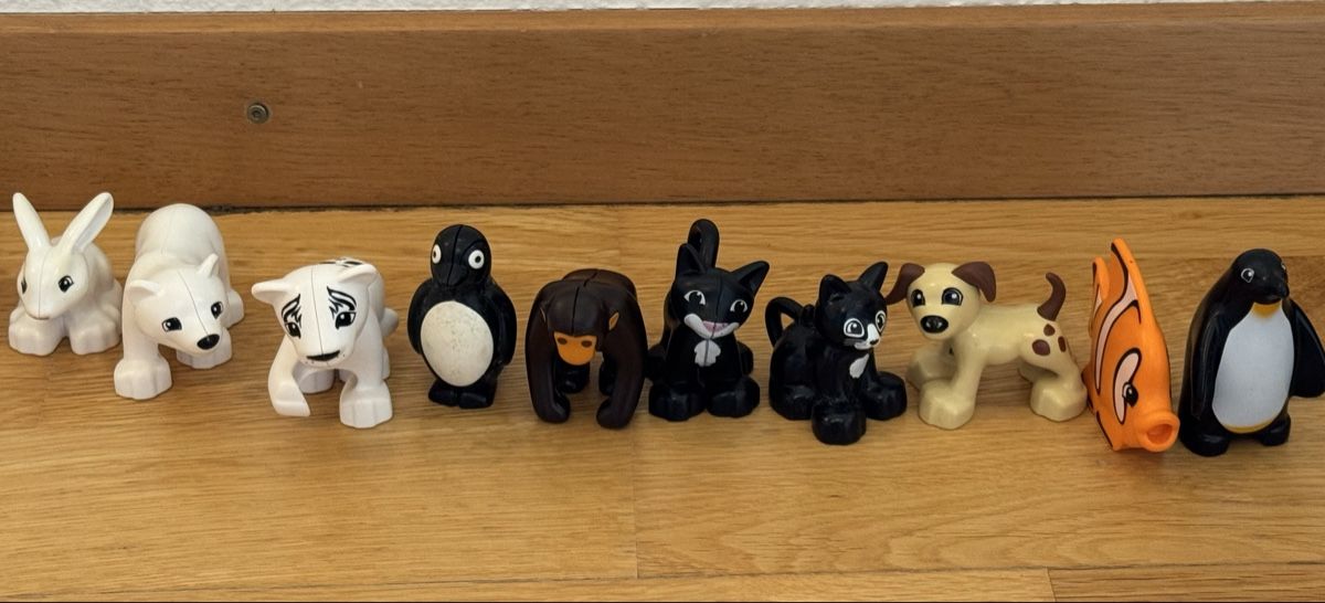 Lego Giocattoli: Lego Duplo Tiere – Usato da Oberrieden venduto da Olivianeu 4
