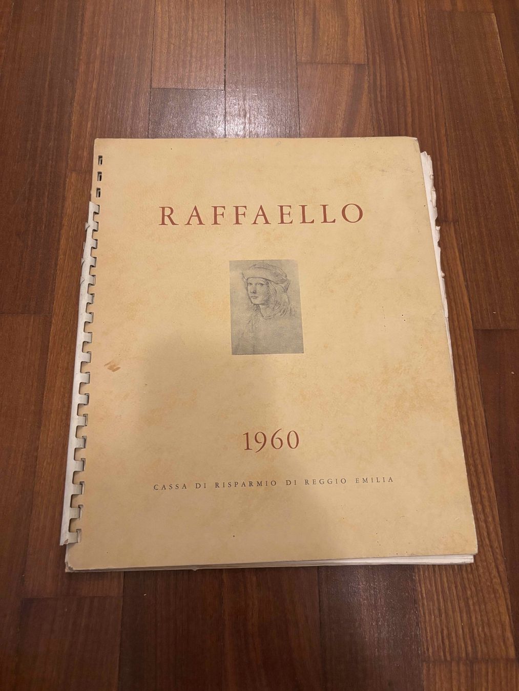 Bücher: Raffaello – Gebraucht aus Lugano von Mark_Young