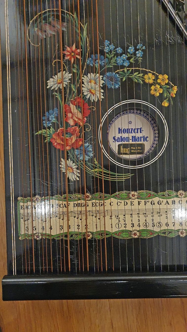 Strumenti musicali: Konzert Zither – Usato da Dietikon venduto da Testodo55 1