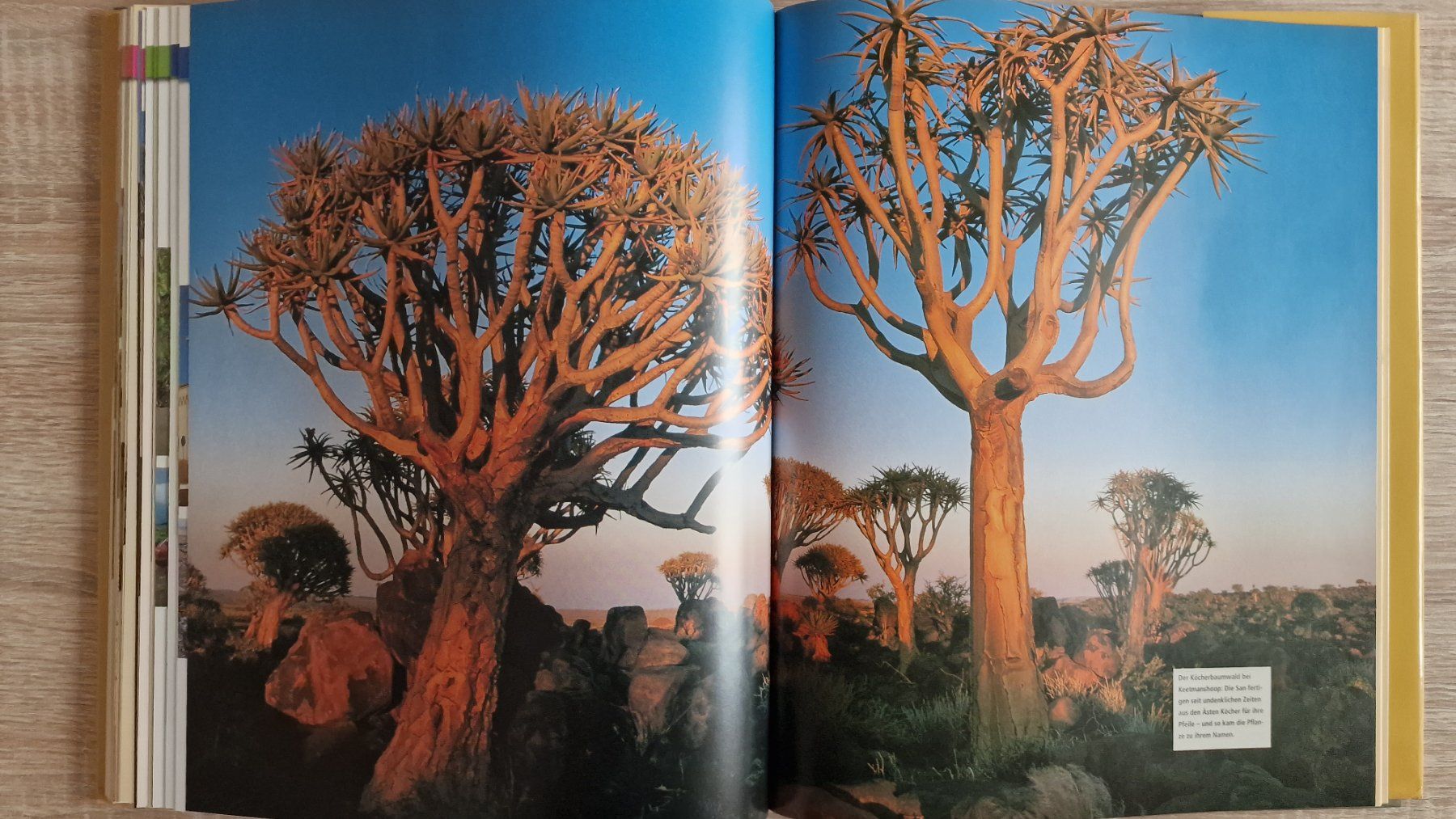 Libri: Buch Traumstrassen Südafrika Namibia – Usato da Zürich venduto da Gabced 7