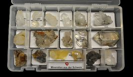 Sammelbox mit 21 Mineralien aus der Schweiz