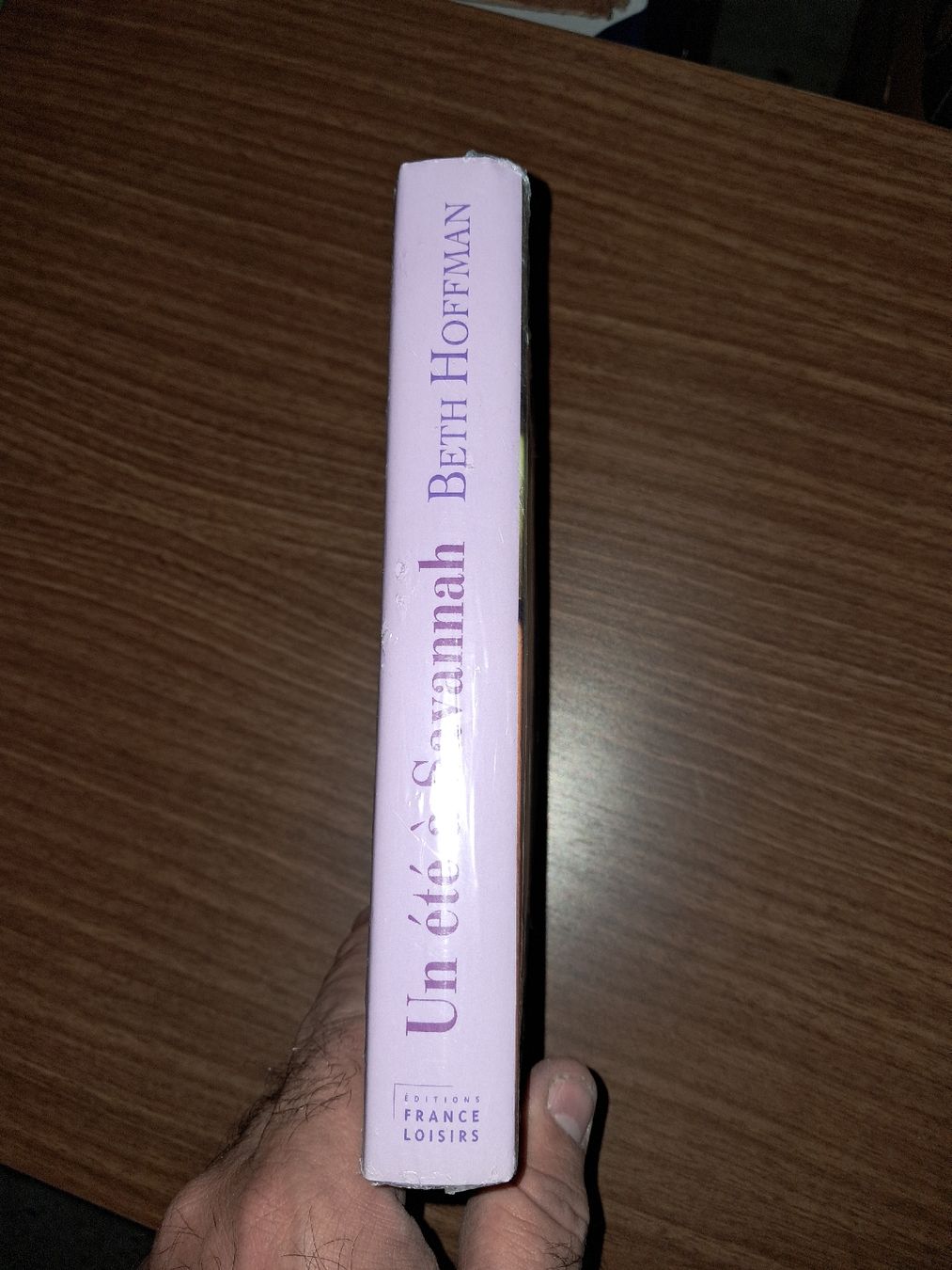 Bücher: Un été à Savannah, beth hoffman – Gebraucht aus Le locle von juliensaran 1
