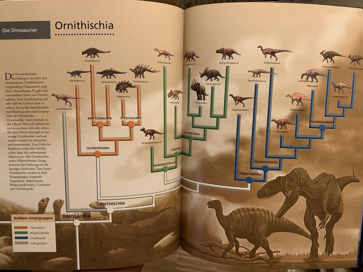 Libri: Dinosaurier Giganten der Urzeit – Nuovo (secondo la descrizione) da Zürich venduto da Gross9