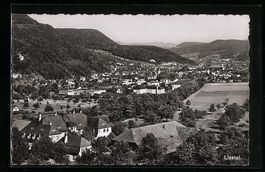 Liestal, Generalansicht der Stadt im Tal