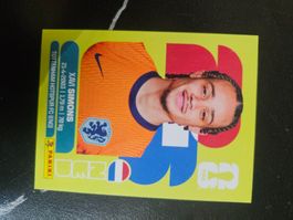 NED 15