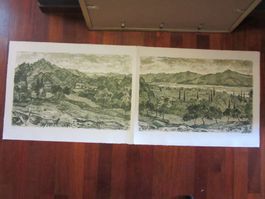 Diggelmann Alex Walter DOPPEL LITHOGRAPHIE DOPPELBLATT SIGNI