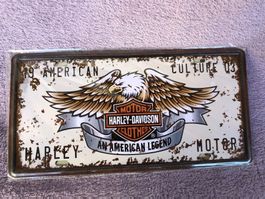 Harley Davidson biker