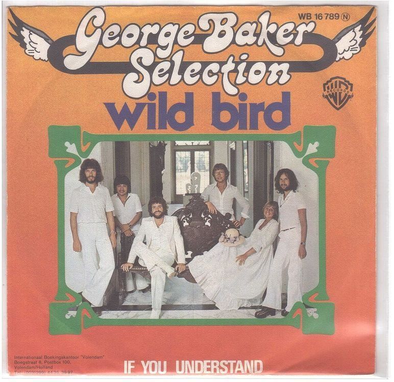 Dischi in vinile: George Baker Selection  -- Wild Bird  Single7 – Usato da Oberwil (Dägerlen) venduto da asteng