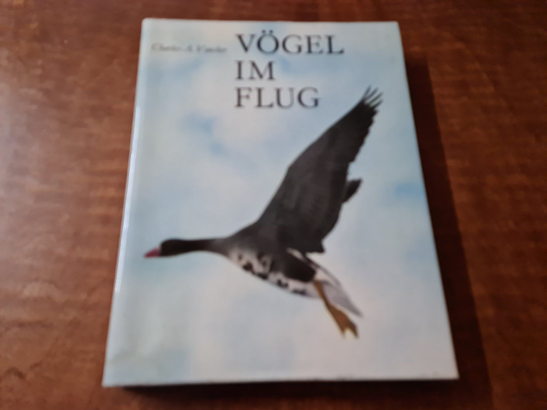 Libri: Vögel im Flug – Usato da Erstfeld venduto da Uhu1980