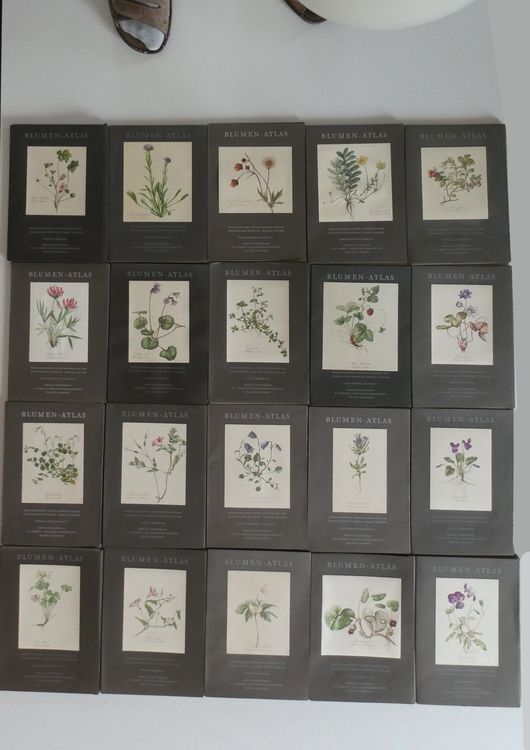 Herbarium BlumenAtlas Kunstdrucke 20 x 15 Stück Kaufen auf Ricardo