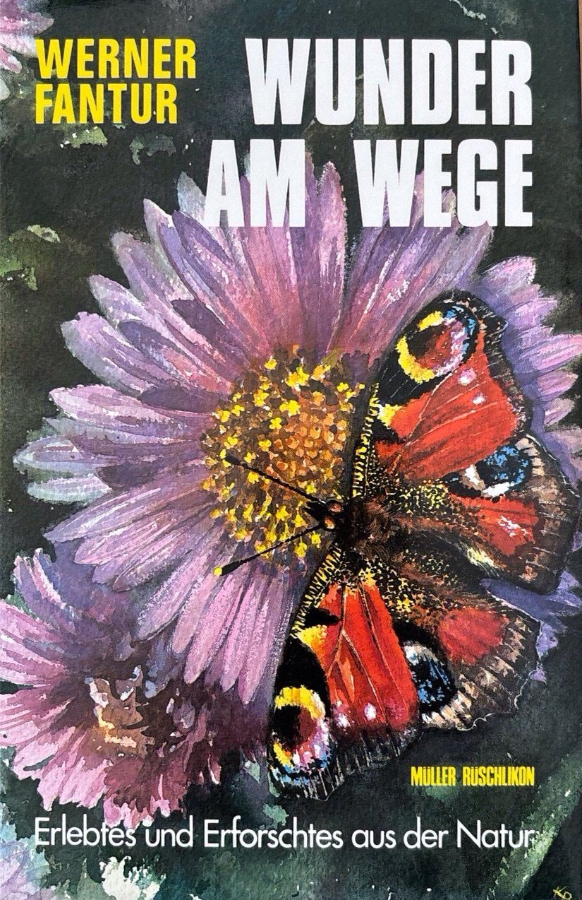 Libri: Wunder am Wege – Nuovo (secondo la descrizione) da Sarnen venduto da Livres