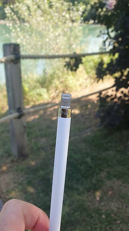Penna & Evidenziatori: Apple Pencil 1. Generation, nur Stift – Usato da Mellingen venduto da cdu_5mwk 2