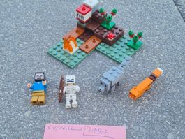 Lego Minecraft / Nr. 21161 / Taiga-Abenteuer / JG 2020