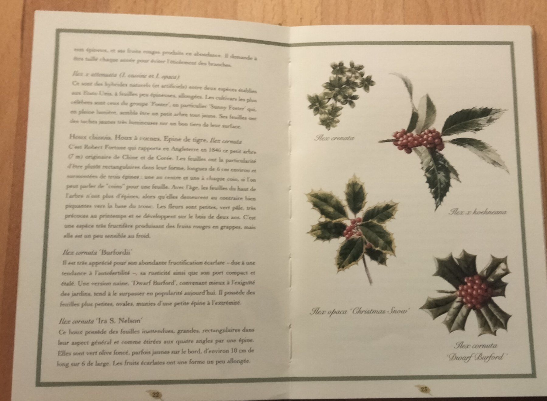 Bücher: "Houx - Les Carnets de Courson", neuwerti... – Neu (gemäss Beschreibung) aus Niederglatt ZH von Siegfried67 6