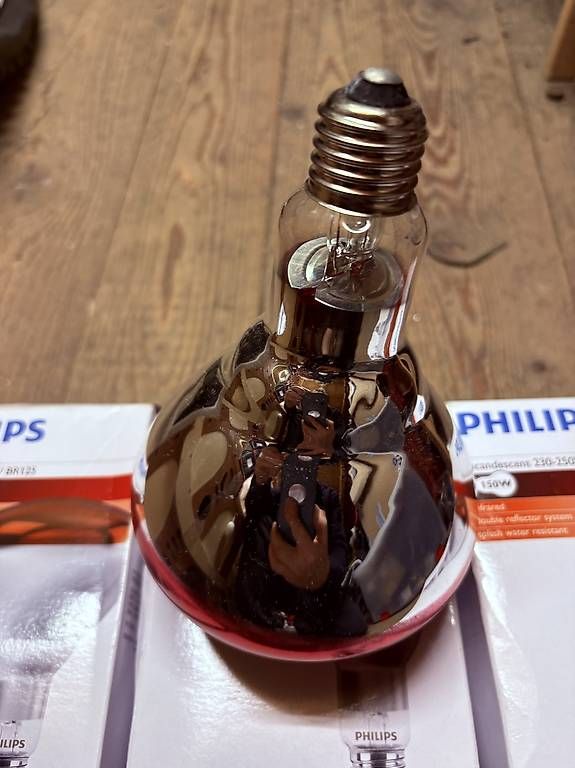 Philips Lampade: Ampoule infra rouge Philips BR125 150W E27 – Usato da Biel/Bienne venduto da pat_kh7v 2