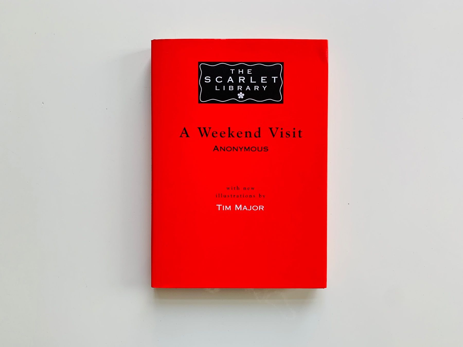 Bücher: A Weekend Visit by Anonymous / Illustrationen Tim Major – Gebraucht aus Zürich von ZuercherBrockenhaus