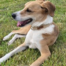 Profile image of Lokpower