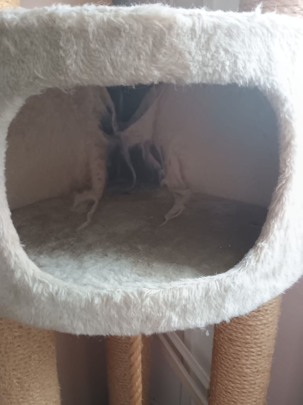 Arbres à chats: Katzenbaum ca 190cm gebraucht – D'occasion à Zürich par Averandomage 1