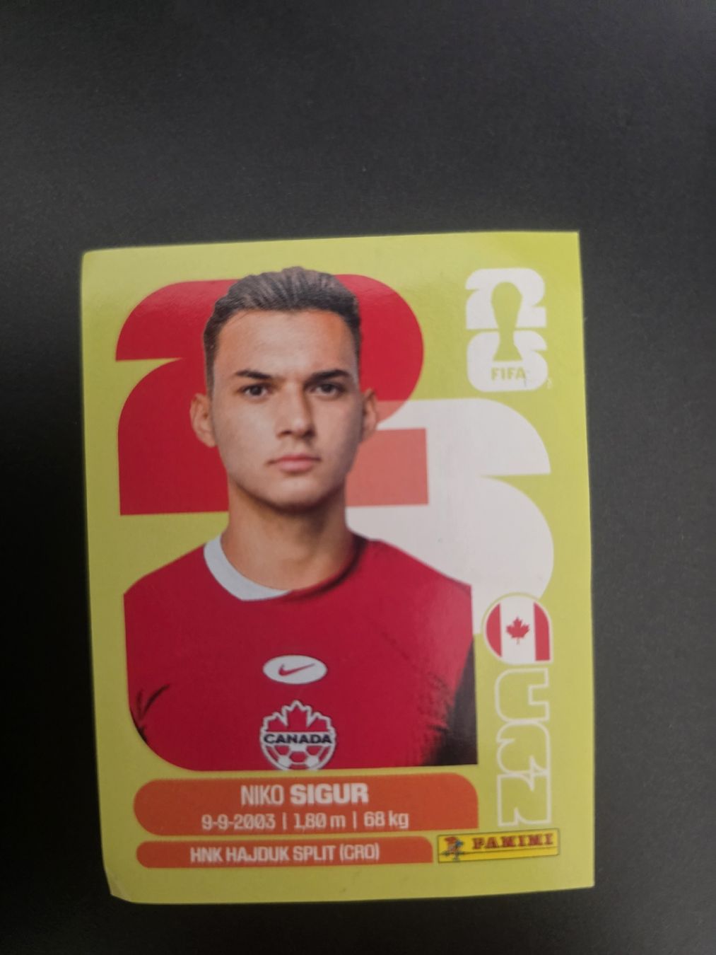 Panini Sammelbilder & Trading cards: Panini Sticker CAN16 – Neu (gemäss Beschreibung) aus Kriens von Caroline_Schweiz
