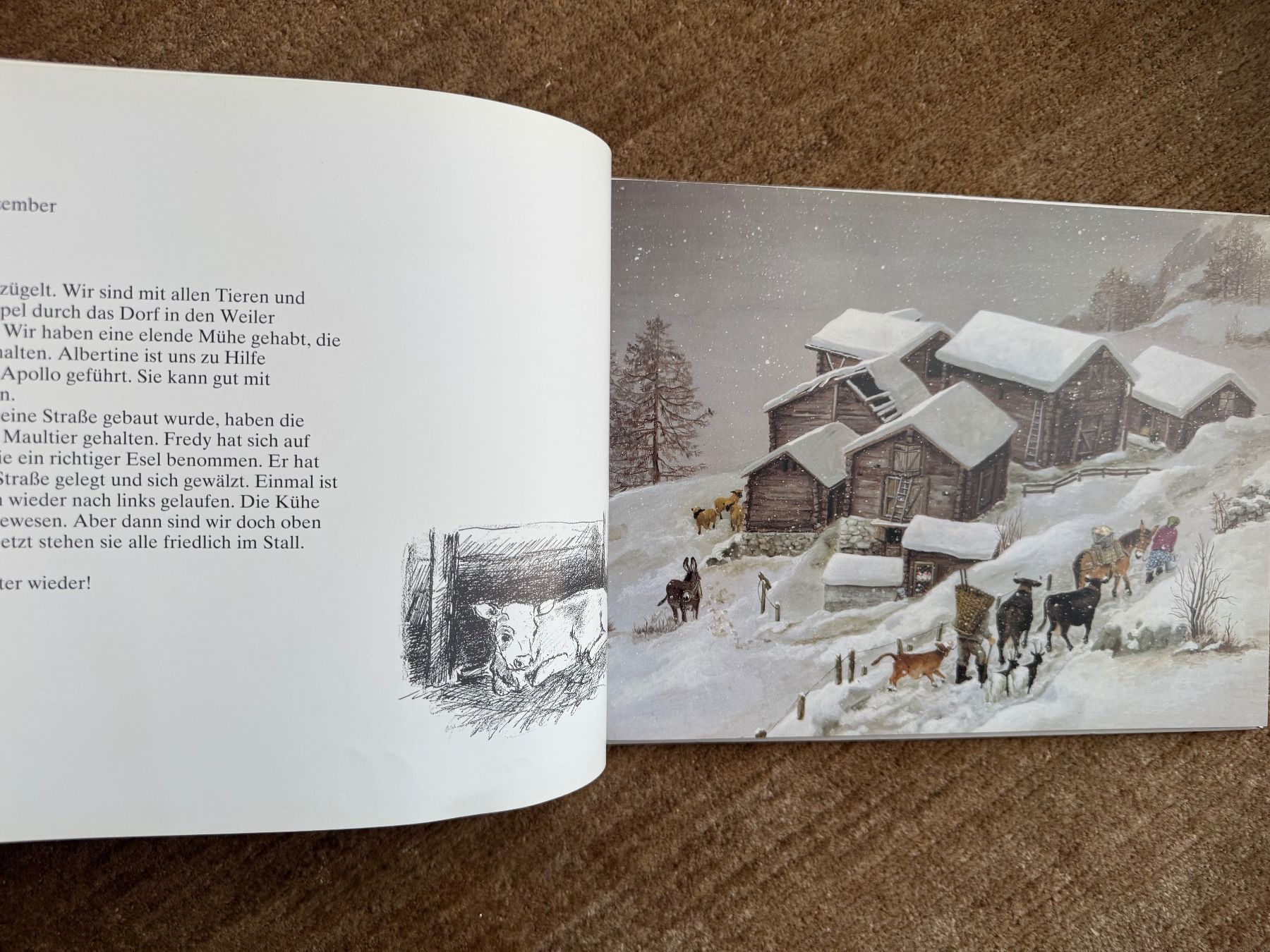 Libri: Lieber Alex -Helen Güdel – Usato da Aarau venduto da Kilauea 2