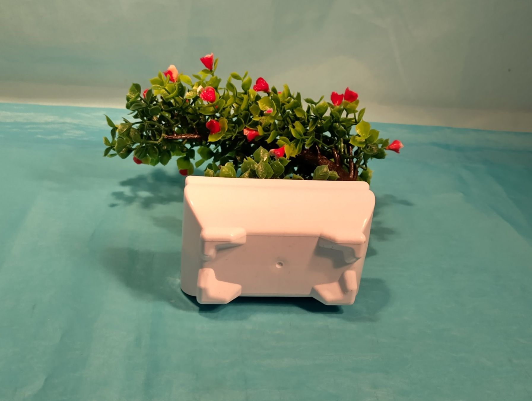 Pflanzen & Samen: Bonsai Bäumchen, Kunstpflanze – Neu (gemäss Beschreibung) aus Bellach von JingleCherry 4