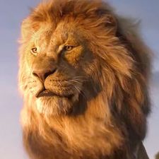 Profile image of Zola-85