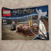 LEGO 30420 Harry Potter and Hedwig