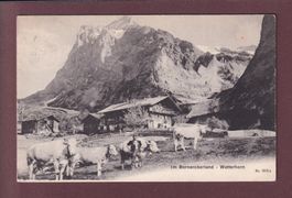BAUERNHAUS - Wetterhorn - Kühe - 1909