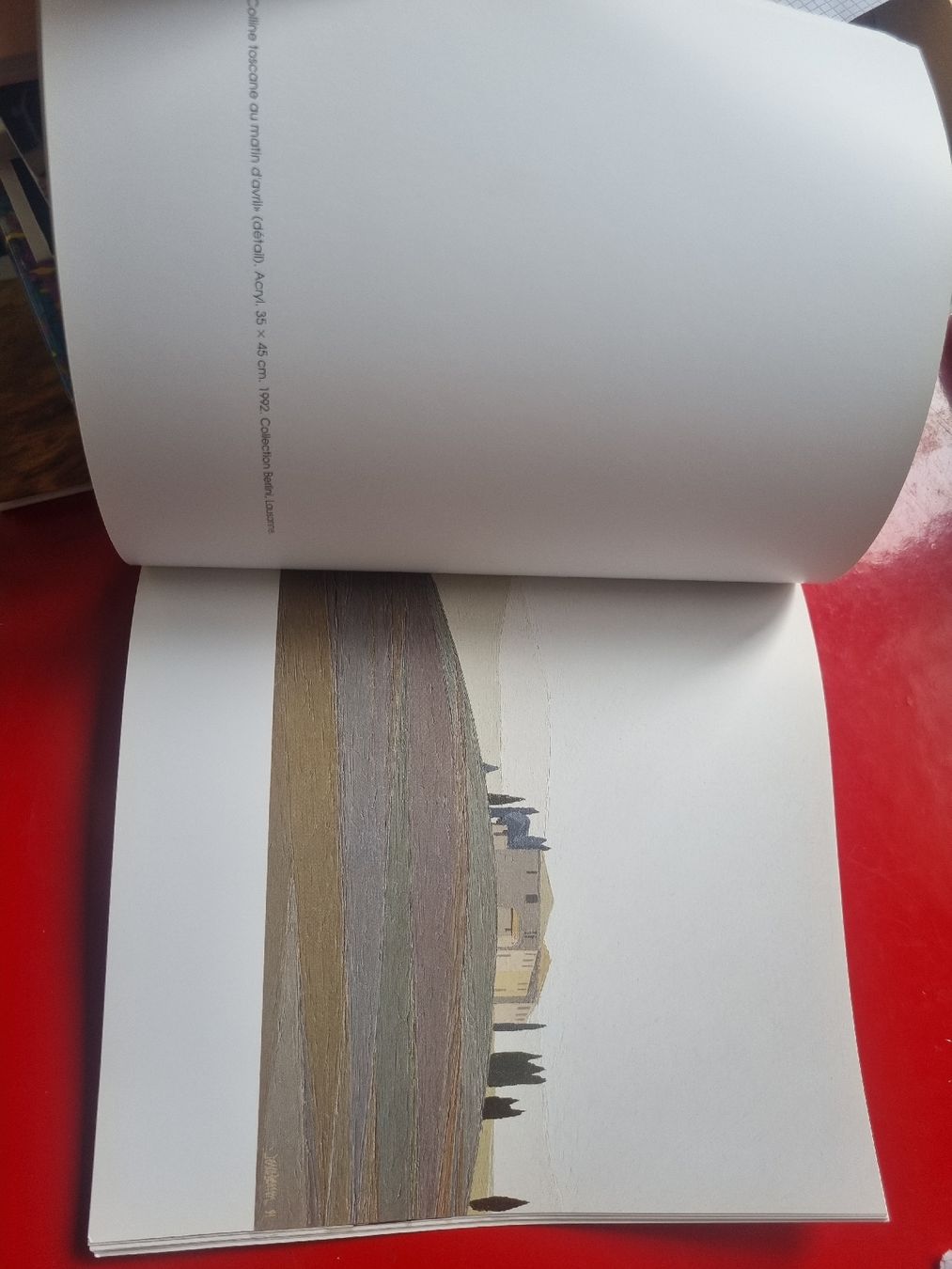 Libri: Libro Pascal Besson 30 Ans De Peinture Museo Pully – Usato da Arogno venduto da alan_service 1