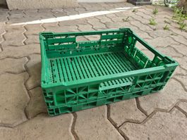 Kleine Gemüsekiste / Gemüsebox, klappbar