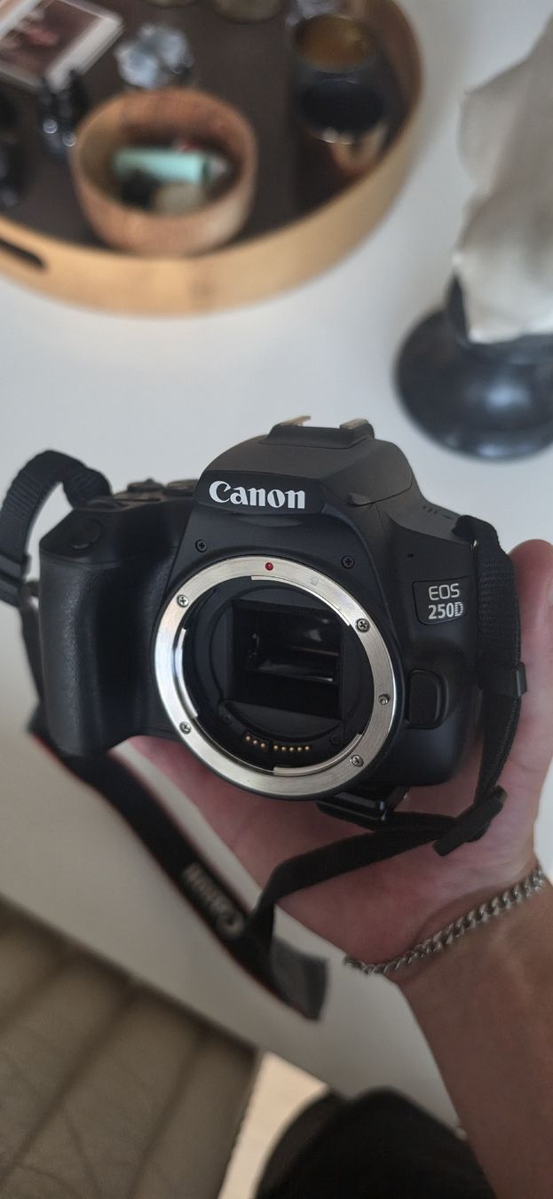 Canon Fotocamera: Canon EOS 250D + Zubehör  – Nuovo (secondo la descrizione) da Kilchberg ZH venduto da spi_b56r 7