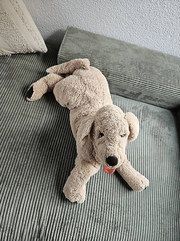 Giocattoli: Grosser Plüsch Hund – Usato da Thun venduto da sst_y7mk 3