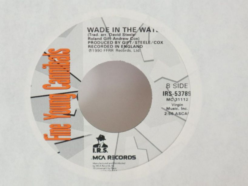 Dischi in vinile: Vinyl Single Fine Young Cannibals I'm Not Satisfied Jukebox – Usato da Eschenbach SG venduto da Astalavista 2