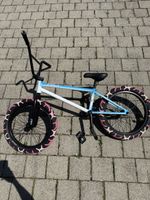 Cult BMX-Rad Limited Edition Anthony Panza