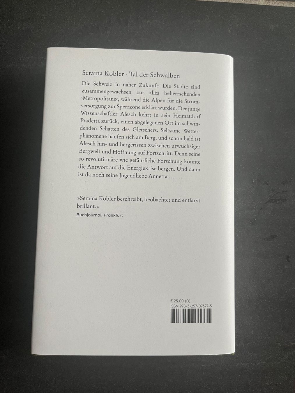 Libri: Buch Tal der Schwalben von Seraina Kobler – Usato da Aarau venduto da Swifty03 1