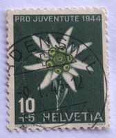 Nr.J 110  mit Vollstempel