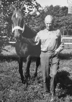 Militär, 2. Weltkrieg, General Henri Guisan mit Pferd, Pully