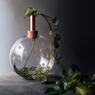 Vasi & Recipienti: Scandinaviaform Vase – Usato da Bern venduto da Blumentopf. 1