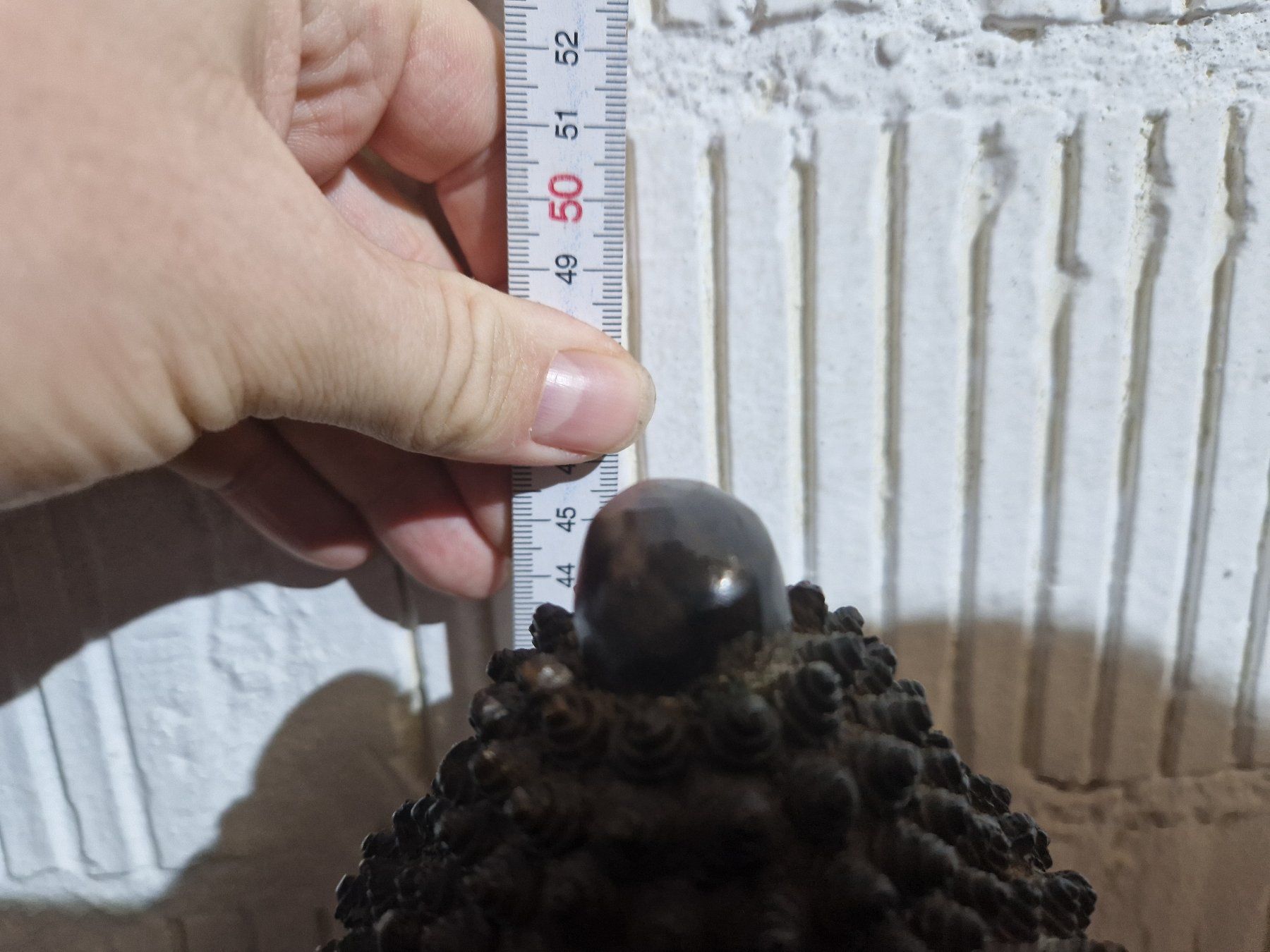 Skulpturen & Statuen: antiker Buddha – Gebraucht aus Seedorf BE von Stibutz 5