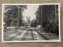 München Linie 15 Menterschweige Foto 1959 Strassenbahn