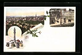 Bern, Gesamtansicht, Bären im Zwinger, 