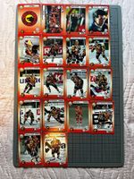 SC Bern Sammelkarten 1993/94 – 18 Karten – Sport HNL Schweiz