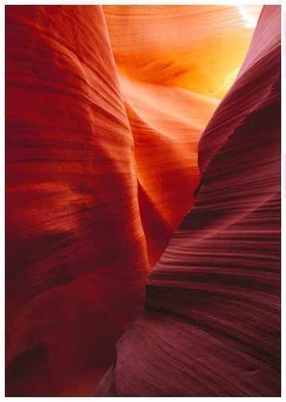 Cartes postales: Kartenserie "rot" – Neuf (Voir description) à Sachseln par lebensmittelpunkt 1