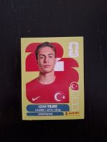 panini 2026 tur 20